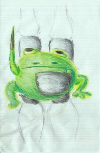 Rocket Guard Frog